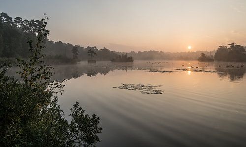 Zachte rimpels in het water