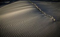 zee, zon en zand van Dirk van Egmond thumbnail