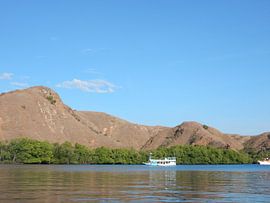 Komodo Island von Christine Volpert
