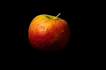 Wellant appel