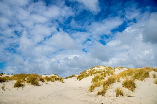 Terschelling, with its vast dunes along the North Sea coast,  Holland