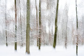 Bomen in de sneeuw van Alexandra Schmid