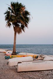 Boote und Bäume, Altea, Spanien von Eveline van Vuren