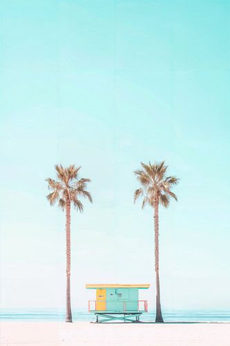 Strandhuis Palmen
