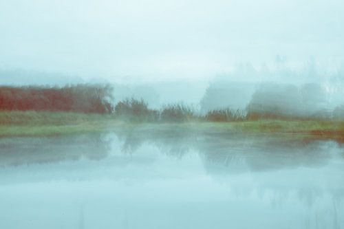 Impressionistisches fotografisches Werk Riverbank Reed