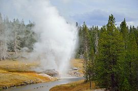 Riverside Geyser by Frank's Awesome Travels