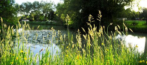 An der Uferpromenade von Corinne Welp