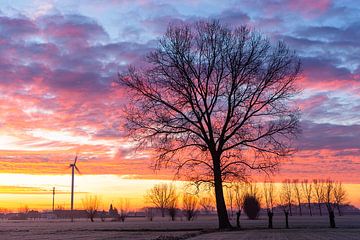 Landschaft in der Morgendämmerung im kalten Winter