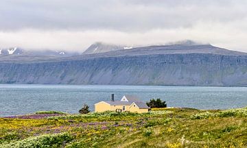 Hornstrandir, IJsland, motief 2 van zam art