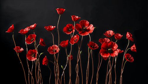 Dance of the Red Poppies
