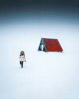 Shelter