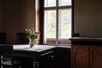 Verlassene Blumen im Licht. von Roman Robroek – Fotos verlassener Gebäude