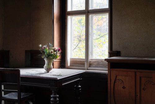 Fleurs abandonnées dans la lumière.