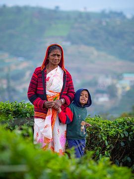 Portrait of locals in the tea fields of Nuwara Eliya by Teun Janssen