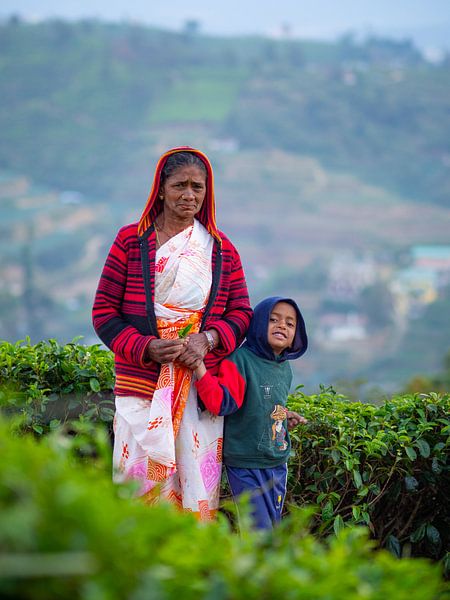 Porträt von Einheimischen in den Teefeldern von Nuwara Eliya von Teun Janssen