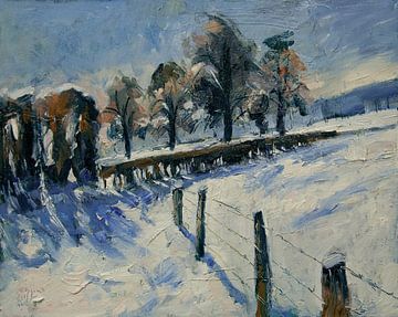 Winter fruitgaard van Nop Briex