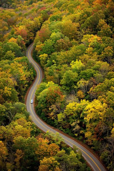 Route - Photographie de paysage par Poster Art Shop