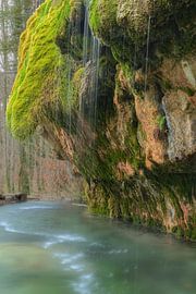 Regen von Jan Koppelaar Fotografie