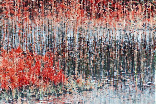 Roseaux rouges n° 2