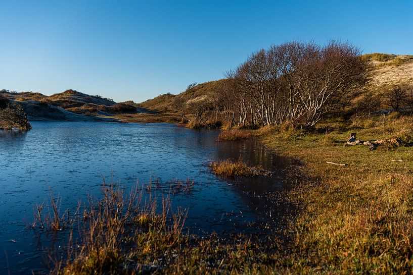 Winter dune pool by Rob Donders Beeldende kunst