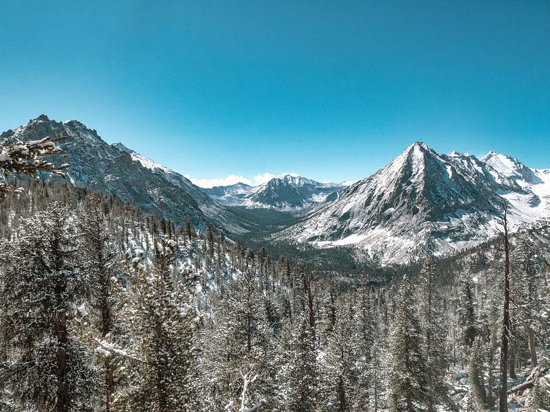Snow covered mountains with tall trees by Marc van den Elzen