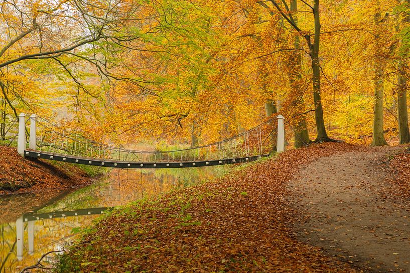 Pont des chaînes en automne par Niels Hamelynck