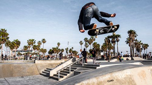 Venice beach skate park