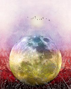 MOON under MAGIC SKY III van Pia Schneider