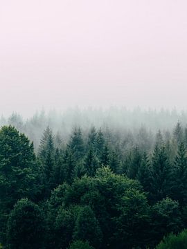 schwedischer Wald von Rizal Azhari