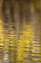 Water in Monet stijl van FotoSynthese thumbnail