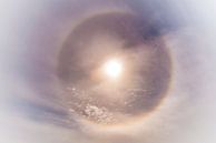 Noordpoolzon met een sterke halo van Gerard Wielenga thumbnail