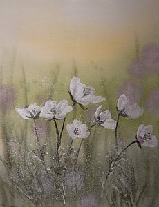 Aquarelle n° 297