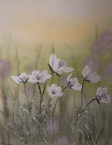 Aquarelle n° 297 sur Tania Perneel