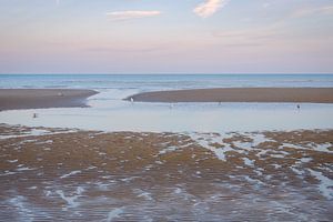 Meeuwen op het strand van Johan Vanbockryck