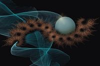 Fractal 4