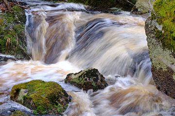 wild water 2 van Geertjan Plooijer