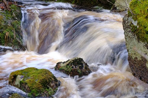 wild water 2 by Geertjan Plooijer