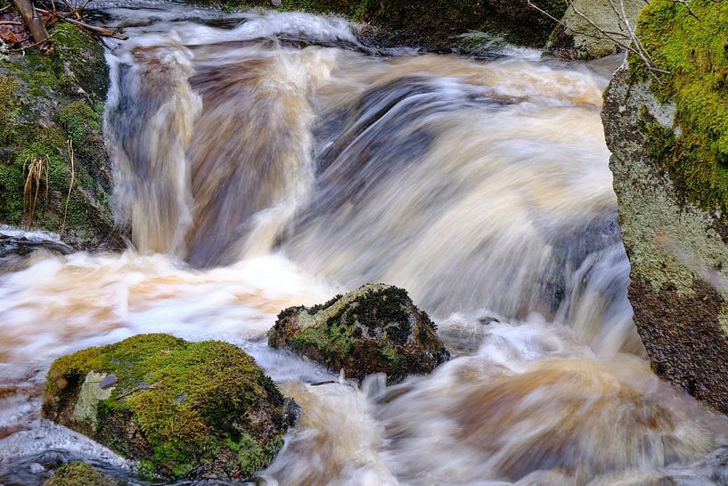 wild water 2 by Geertjan Plooijer