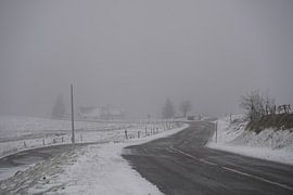 Sur le chemin du Grand Ballon, Vosges