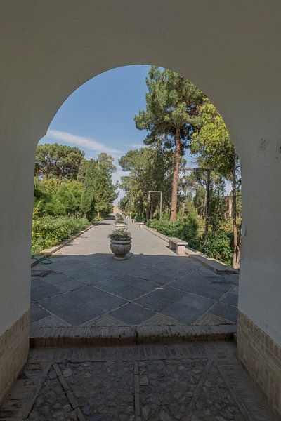 Iran: Dowlat Abad Garden (Yazd) by Maarten Verhees