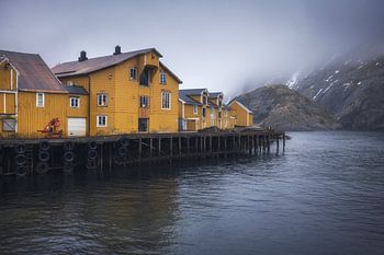 Entdecken Sie den rustikalen Charme von Nusfjord's gelben Hütten am Tr