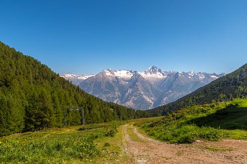 Bietschhorn seen from Ginals