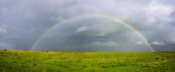 Slievenageeragh, Irland von Jarne Buttiens