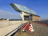 Anvers Port Maison contre le ciel bleu avec la station de vélo par Tony Vingerhoets Aperçu