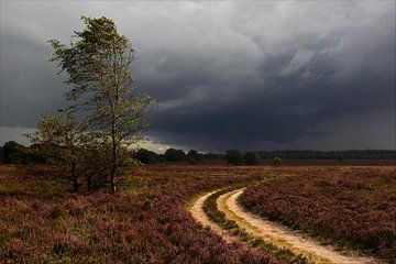 Heide bij een onweersbui van Ron Hoefs