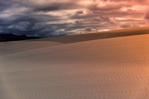 Coucher de soleil dans les dunes sur Cynthia Hasenbos