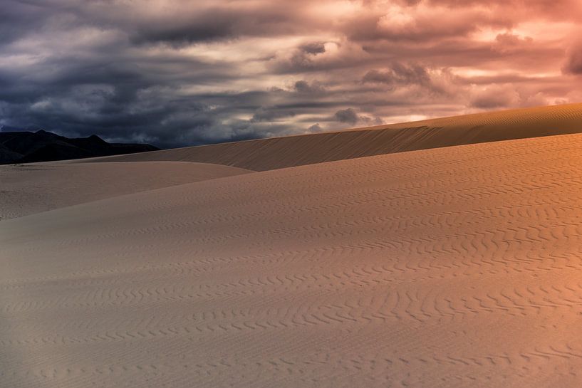 Coucher de soleil dans les dunes par Cynthia Hasenbos