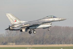 Portugais General Dynamics F-16 Fighting Falcon.