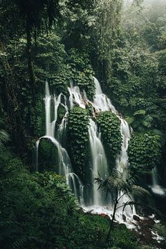 Betoverende waterval in de jungle van Bali, Indonesië van Troy Wegman