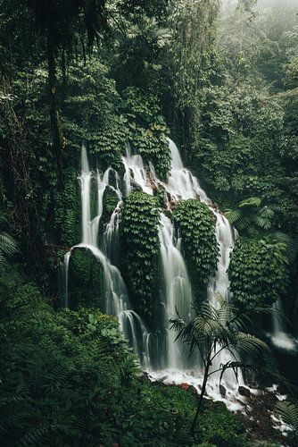 Bezaubernder Wasserfall im Dschungel von Bali, Indonesien